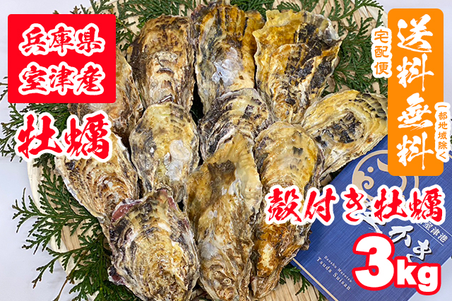 【室津牡蠣】殻付き生牡蠣 3kg