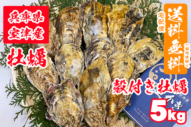 【室津牡蠣】殻付き生牡蠣 5kg