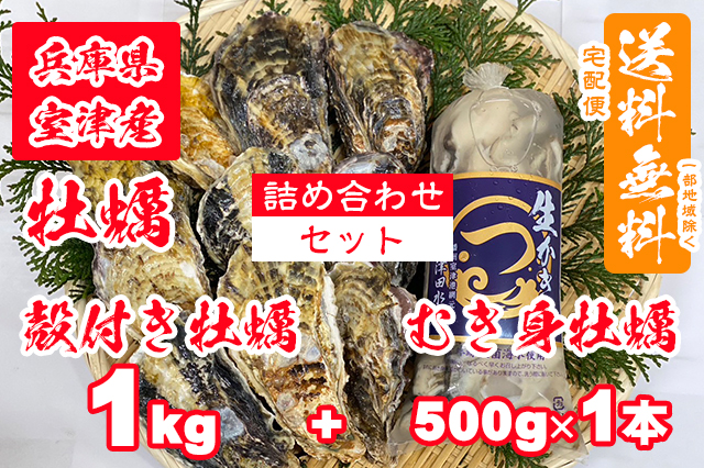 【室津牡蠣】殻付き生牡蠣 1kg むき身 500g × 1本