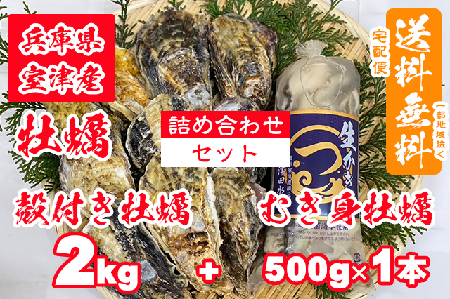 【室津牡蠣】殻付き生牡蠣 2kg むき身 500g × 1本