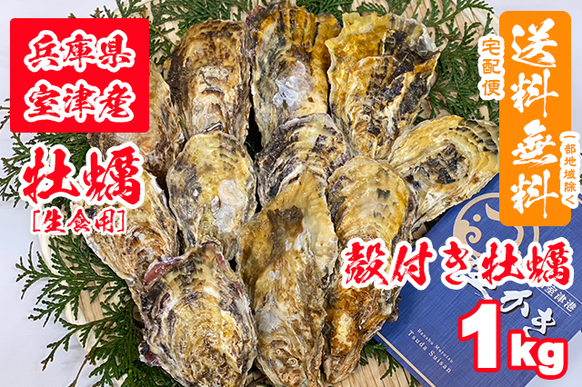 【室津牡蠣】殻付き生牡蠣 1kg