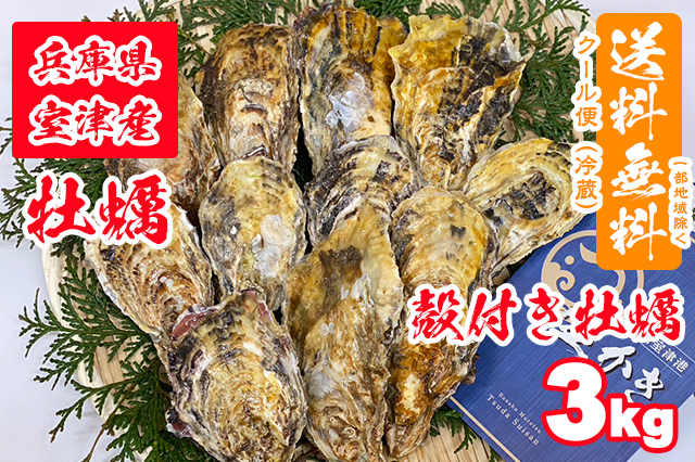 【室津牡蠣】生食用 殻付き生牡蠣 3kg