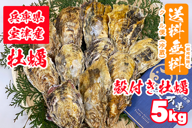 【室津牡蠣】生食用 殻付き生牡蠣 5kg