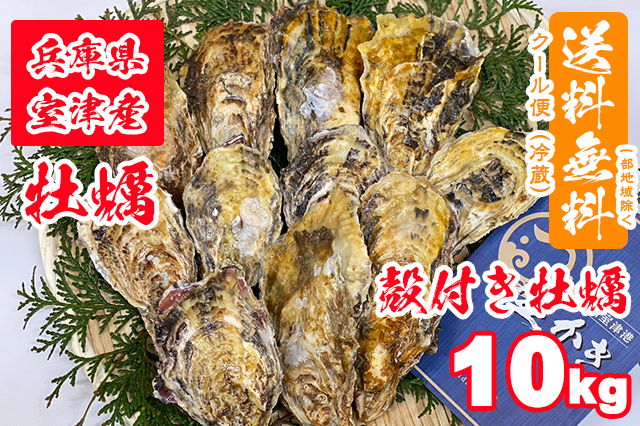 【室津牡蠣】生食用 殻付き生牡蠣 10kg