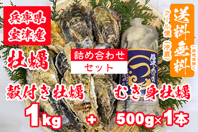 【室津牡蠣】生食用 殻付き生牡蠣 1kg 生食用 むき身 500g × 1本