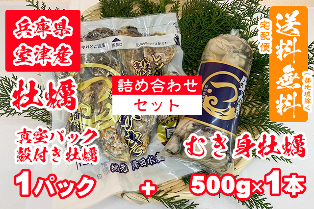 【室津牡蠣】真空パック（殻付き牡蠣）× １パック むき身 500g × 1本