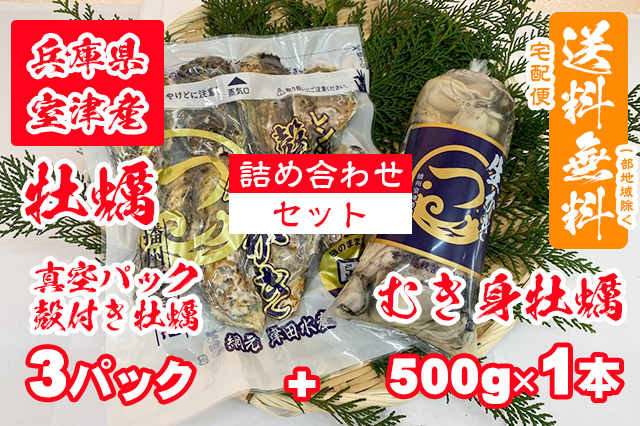 【室津牡蠣】真空パック（殻付き牡蠣）× 3パック むき身 500g × 1本