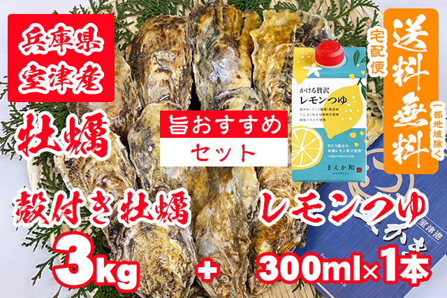 【室津牡蠣】殻付き生牡蠣 3kg レモンつゆ 300ml × １本