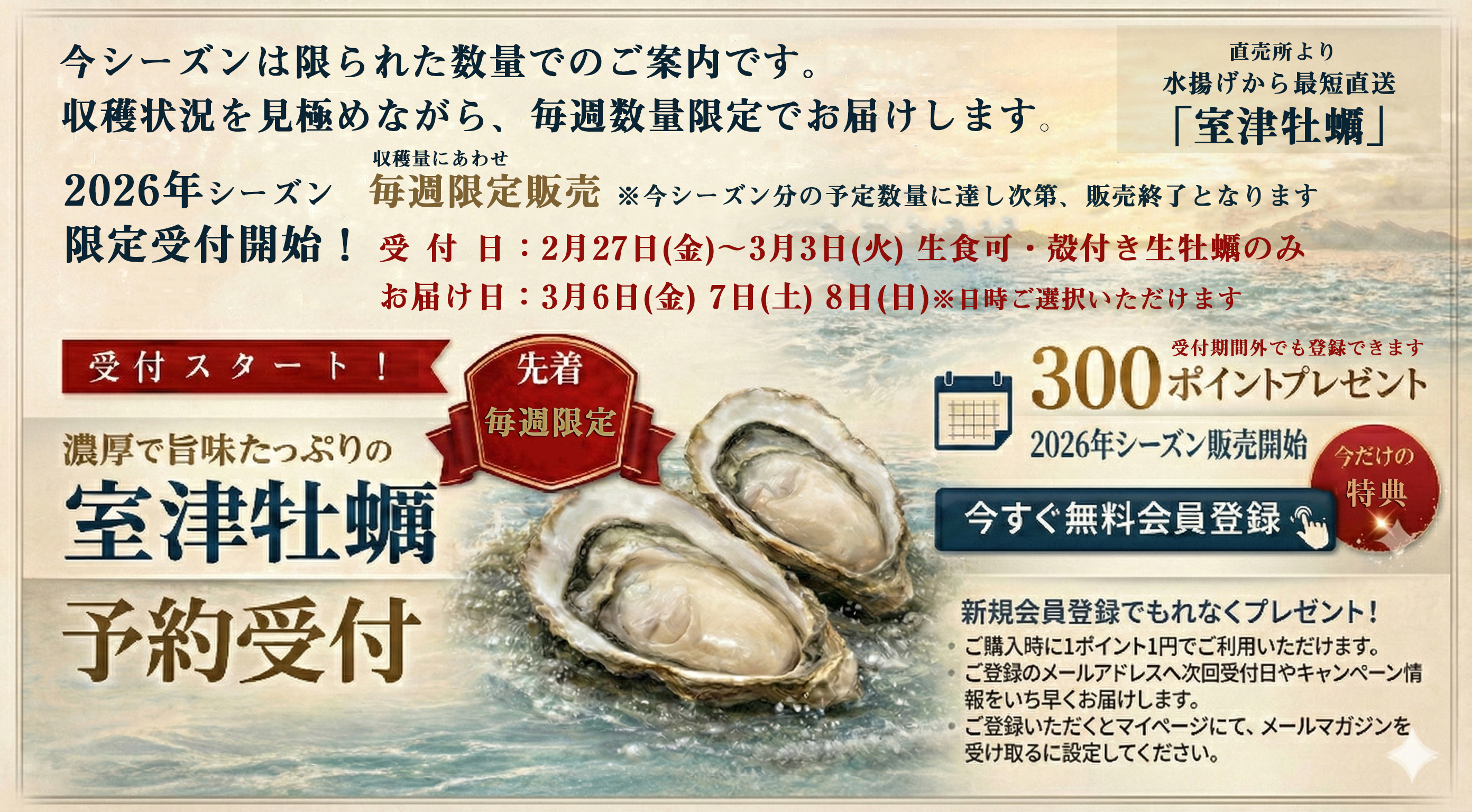 【室津牡蠣の直売通販】会員登録で300ポイントプレゼント