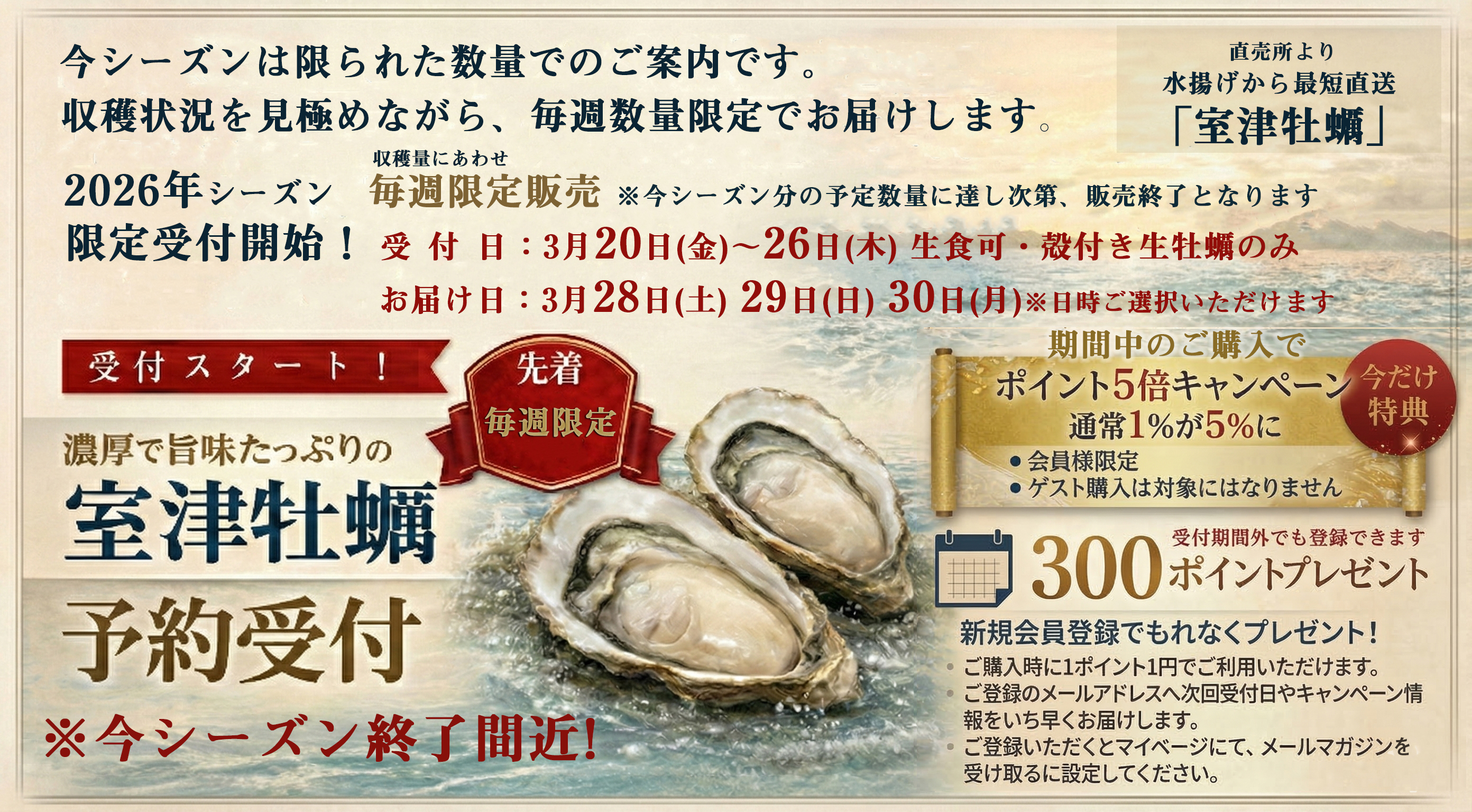 【室津牡蠣の直売通販】ポイント５倍キャンペーン